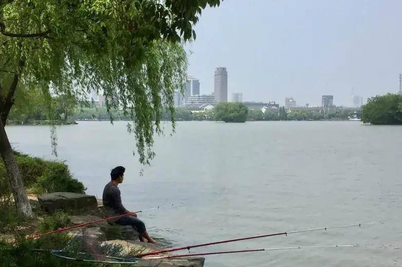 晚秋“鱼难钓”的原因找到了，用这三招轻松解决，一天钓一桶