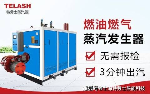 特劳士蒸汽发生器助力广州包装厂，革新塑料包装材料预处理工艺！