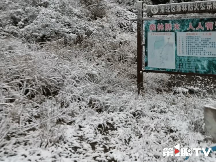 中心城区也下雪啦！重庆明后天最低温仅-3℃